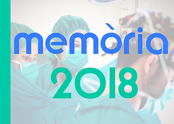 Memòria CSdM 2018