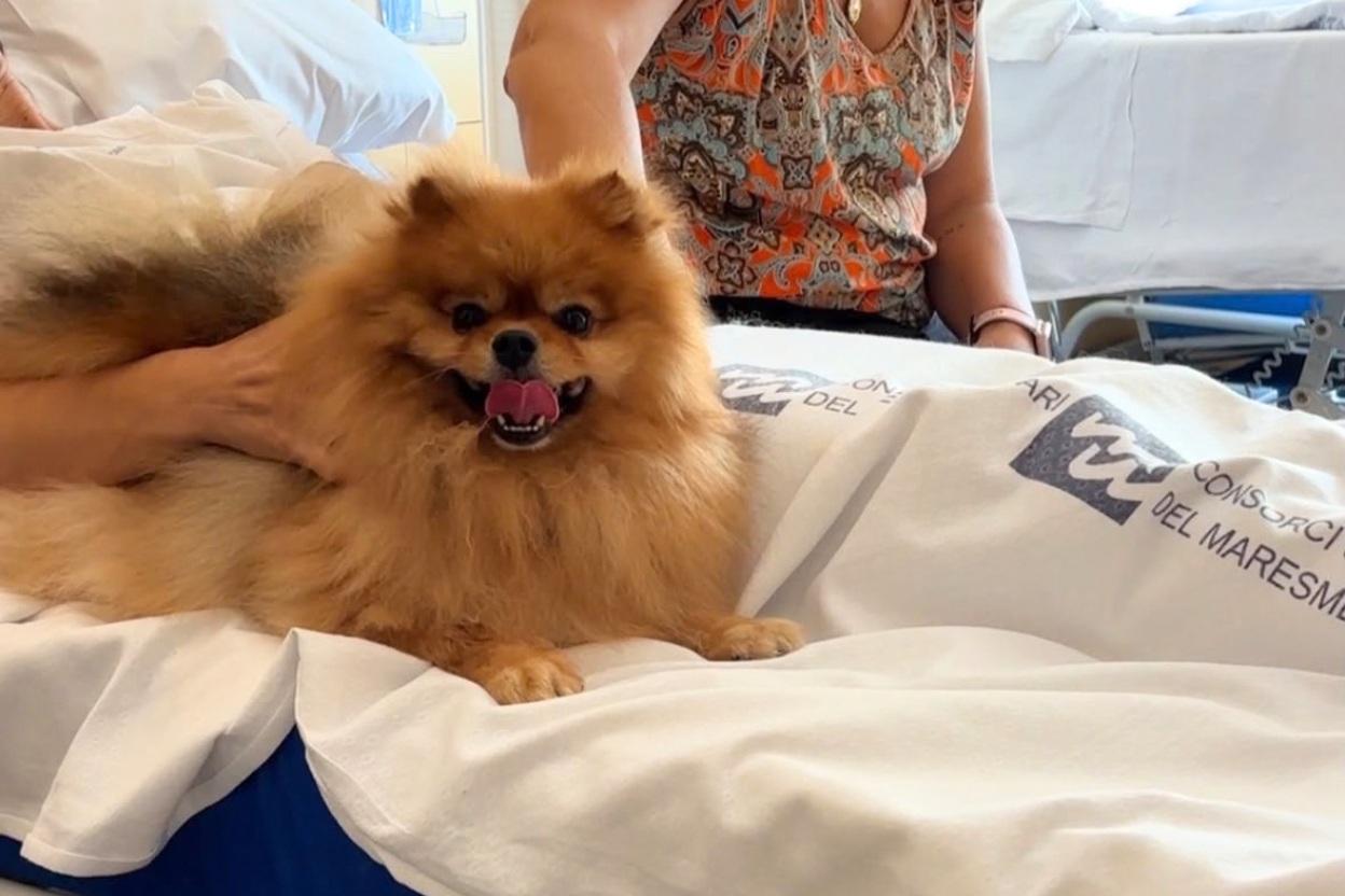 L’Hospital Universitari de Mataró facilita als pacients en situació de final de vida acomiadar-se de les seves mascotes